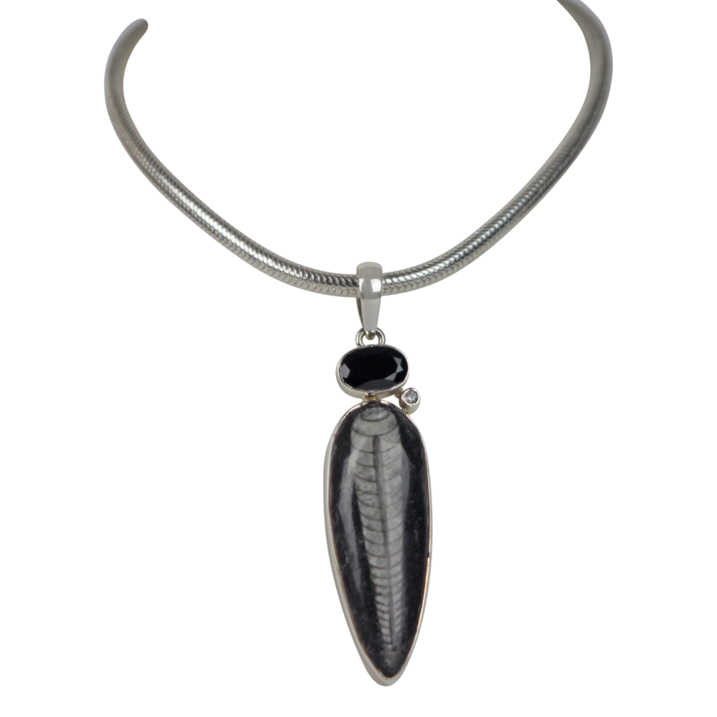 Lanog Inverted Teardop Shaped Natural Orthocerase fossils Pendant Accent with a Black Spinal and Natural Crystal